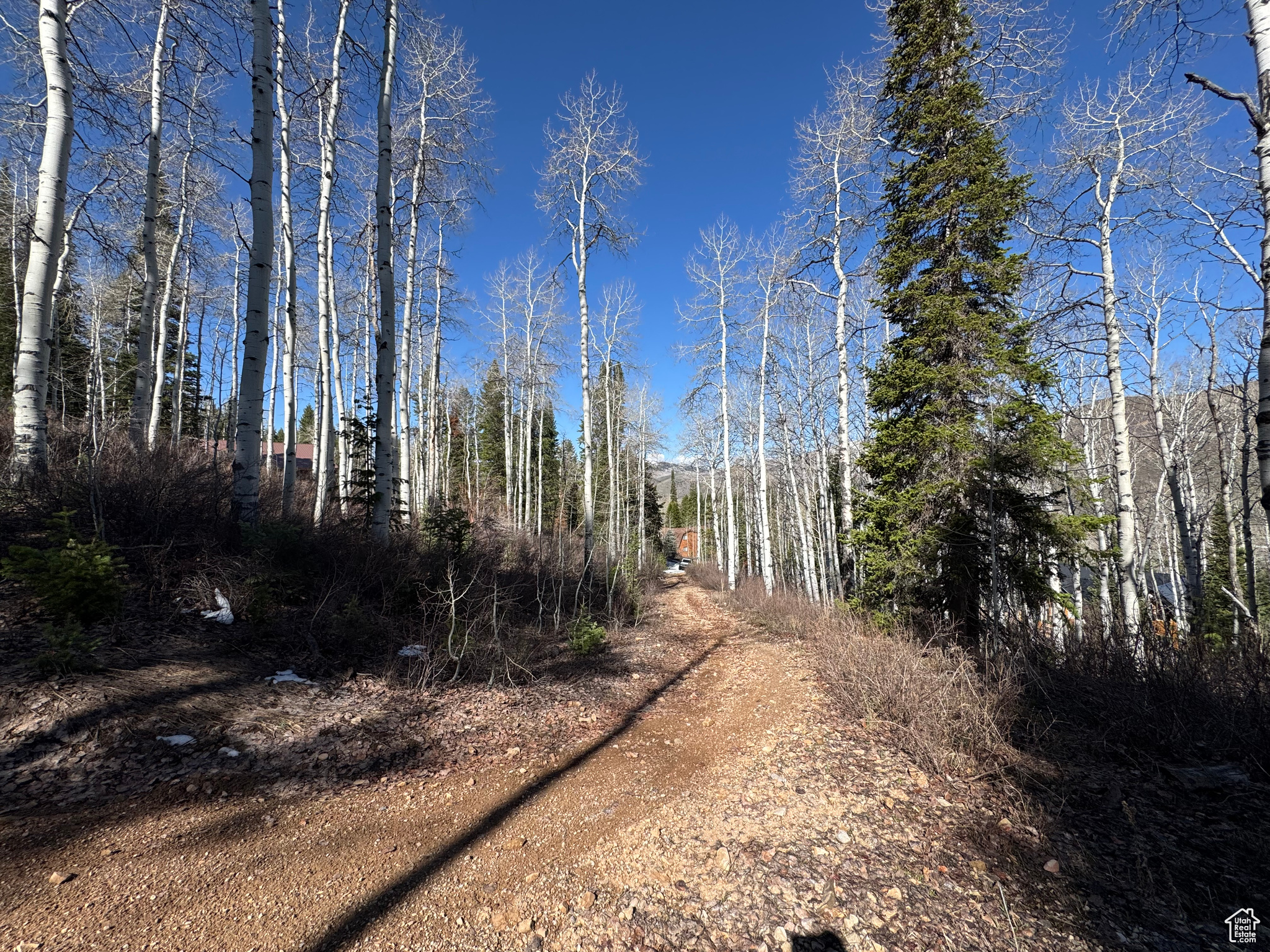 PINE MOUNTAIN - Land