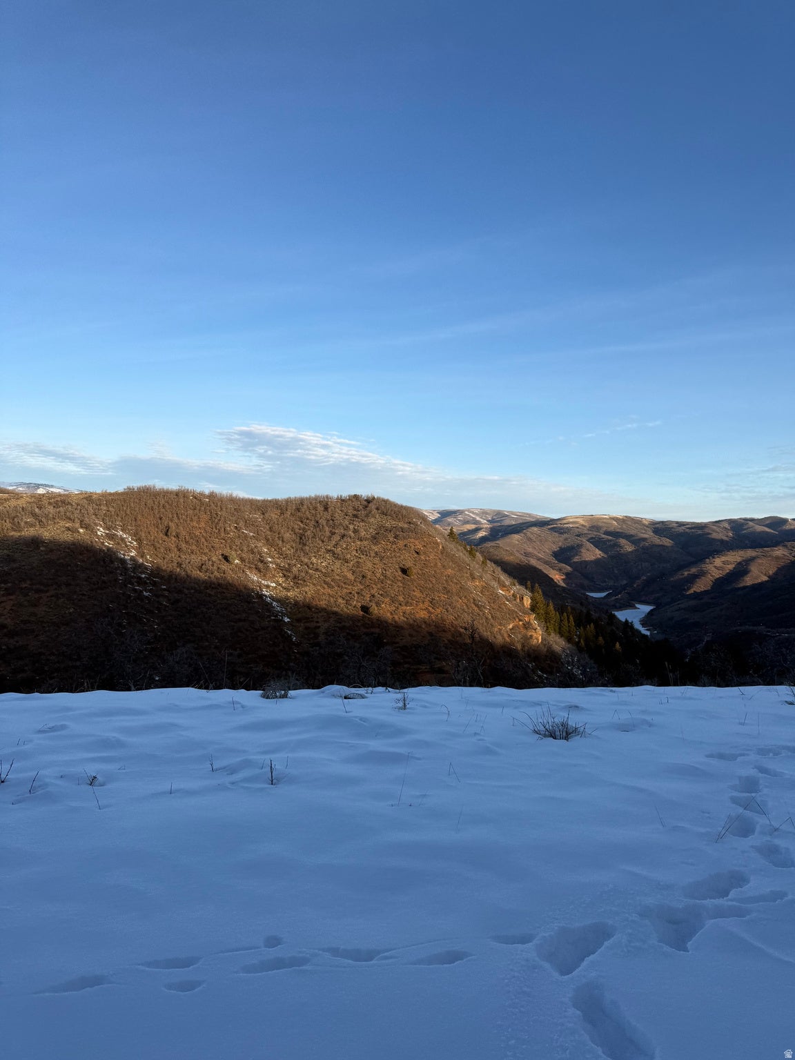 View from adjacent lot 66