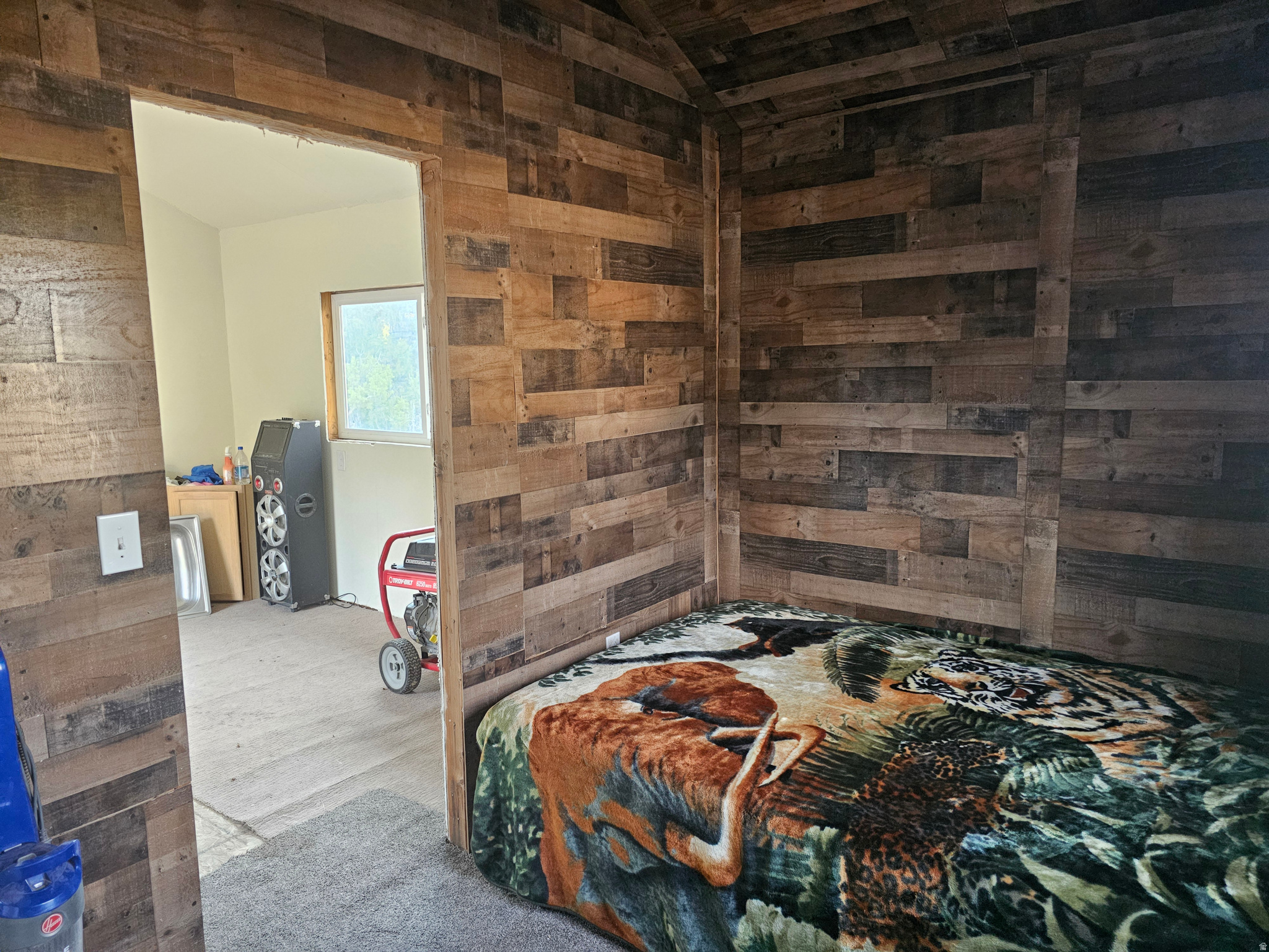 CEDAR MOUNTAIN - Land