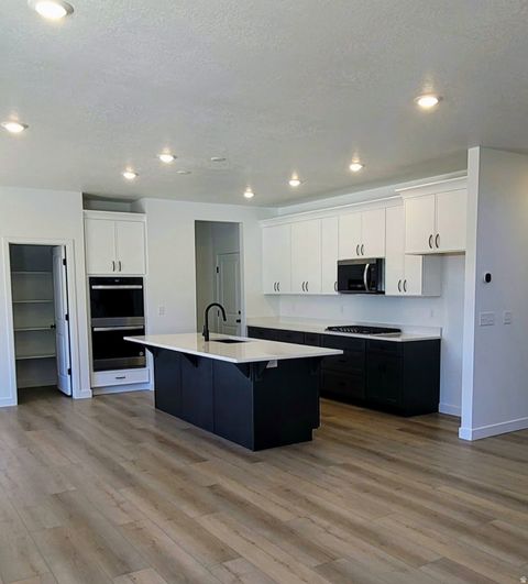 Tiny photo for 738 N PLAINSMAN DR, Spanish Fork, UT 84660 (MLS # 2125675)