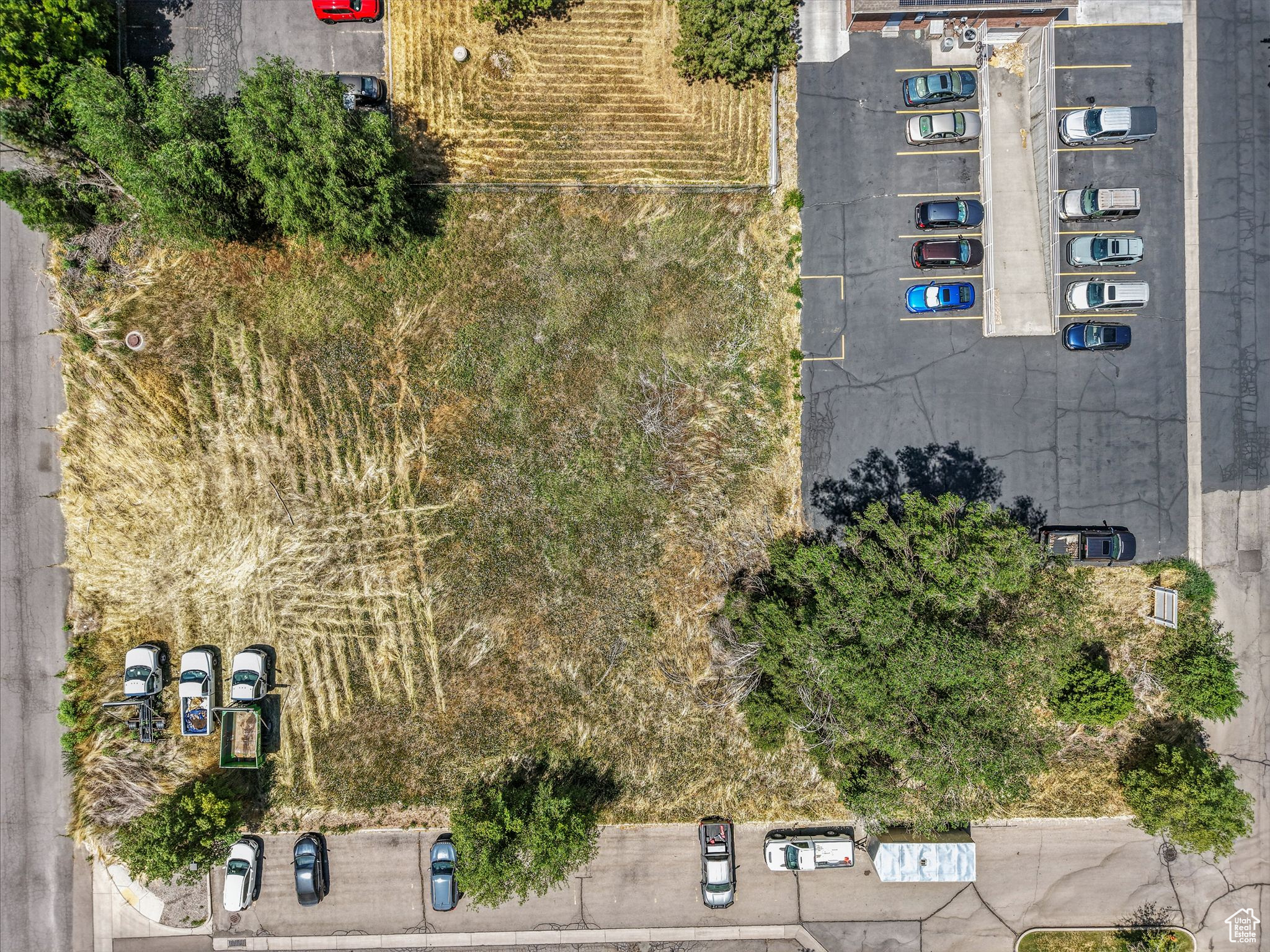 SURGE MEDICAL - Commercial Sale