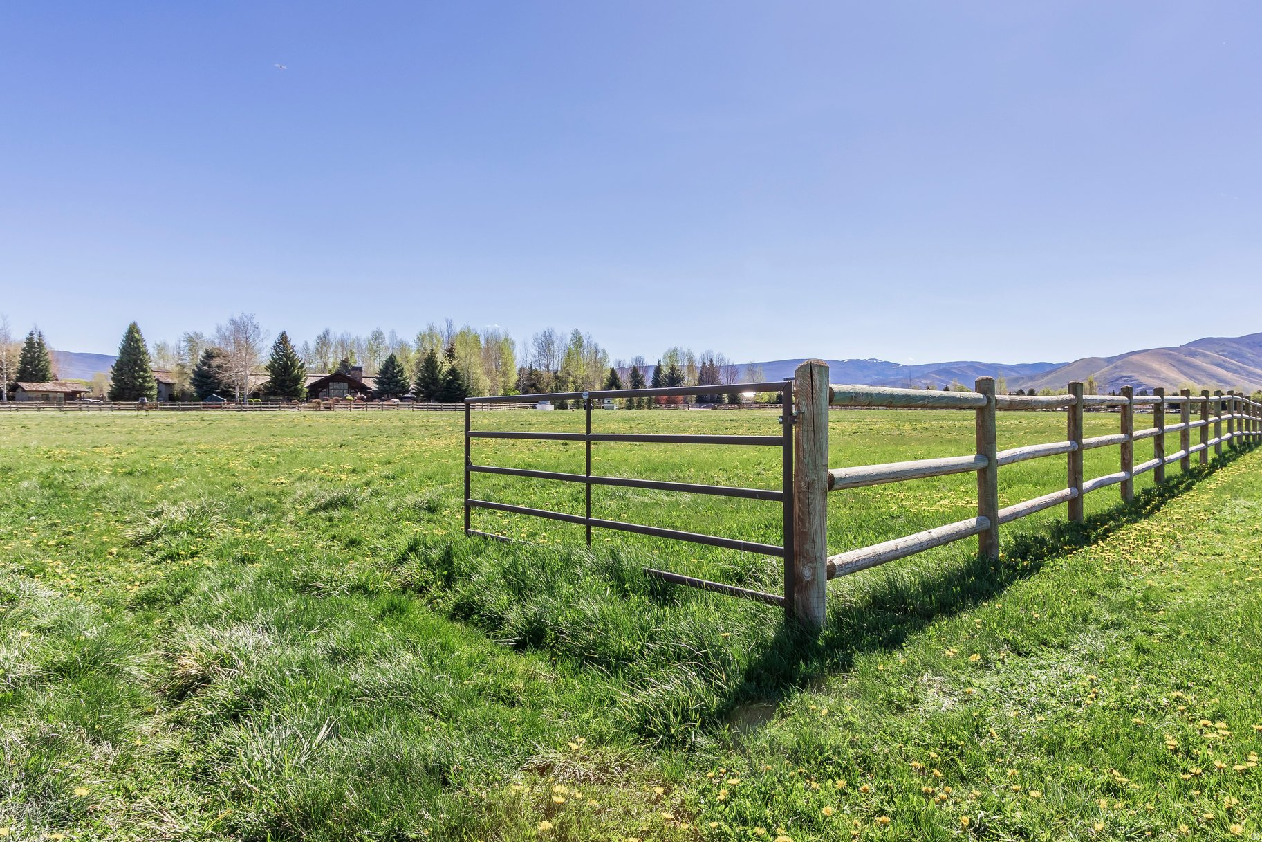 WINTERTON FARMS - Land