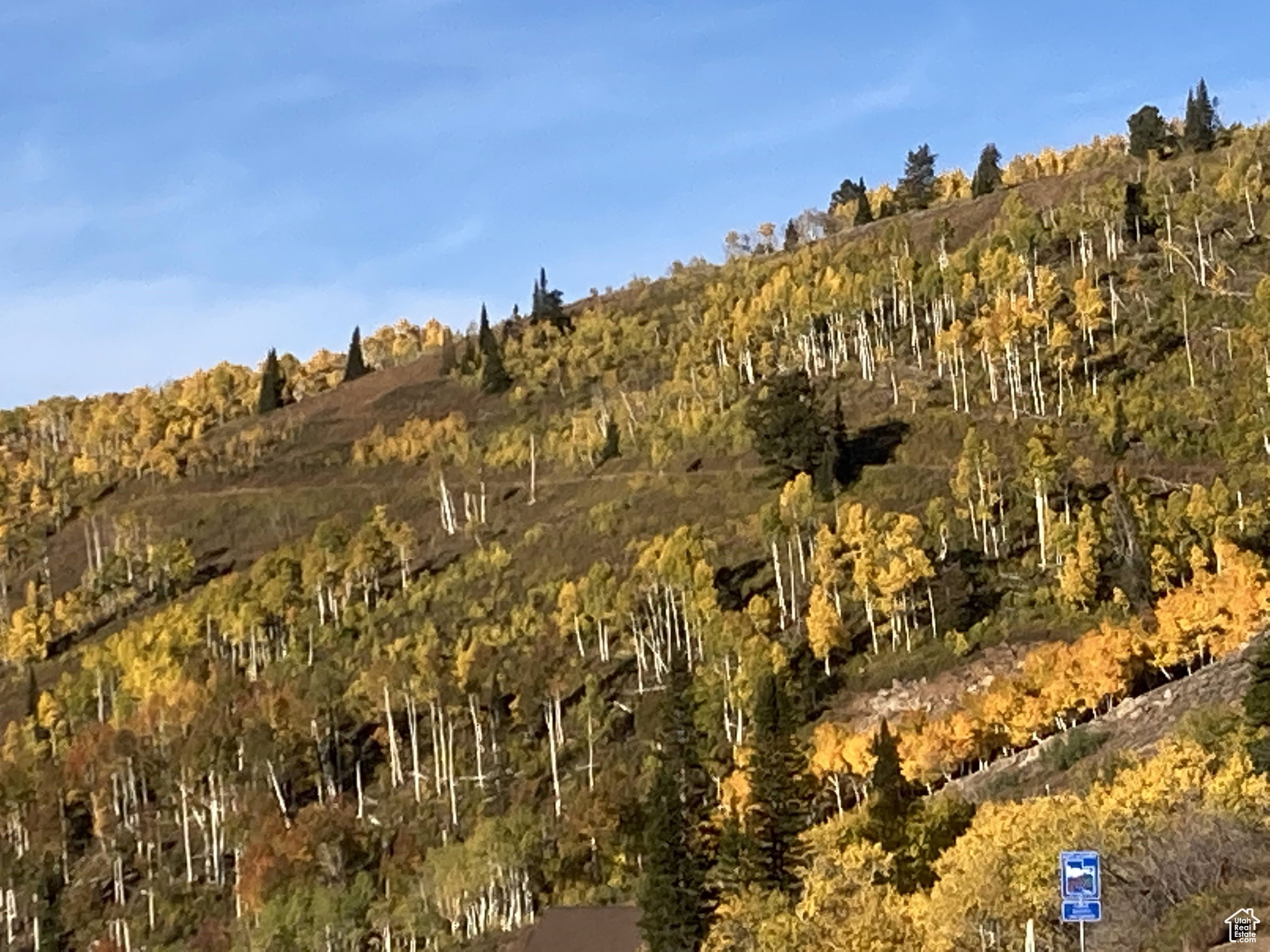 POWDER MOUNTAIN WEST - Land