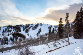 POWDER MOUNTAIN WEST - Land