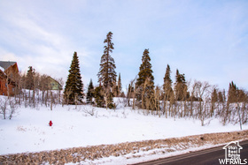 POWDER MOUNTAIN WEST - Land