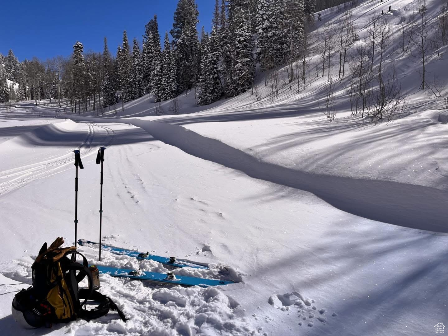 POWDER MOUNTAIN WEST - Land