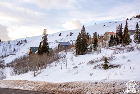 POWDER MOUNTAIN WEST - Land