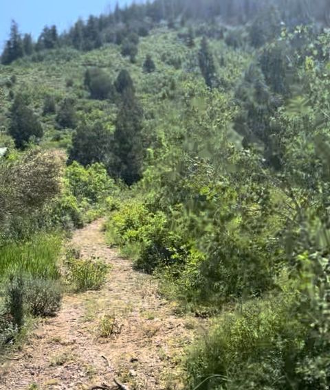 Photo of 424 BEAVER CREEK RD HLS #424, Kamas, UT 84036 (MLS # 2144814)