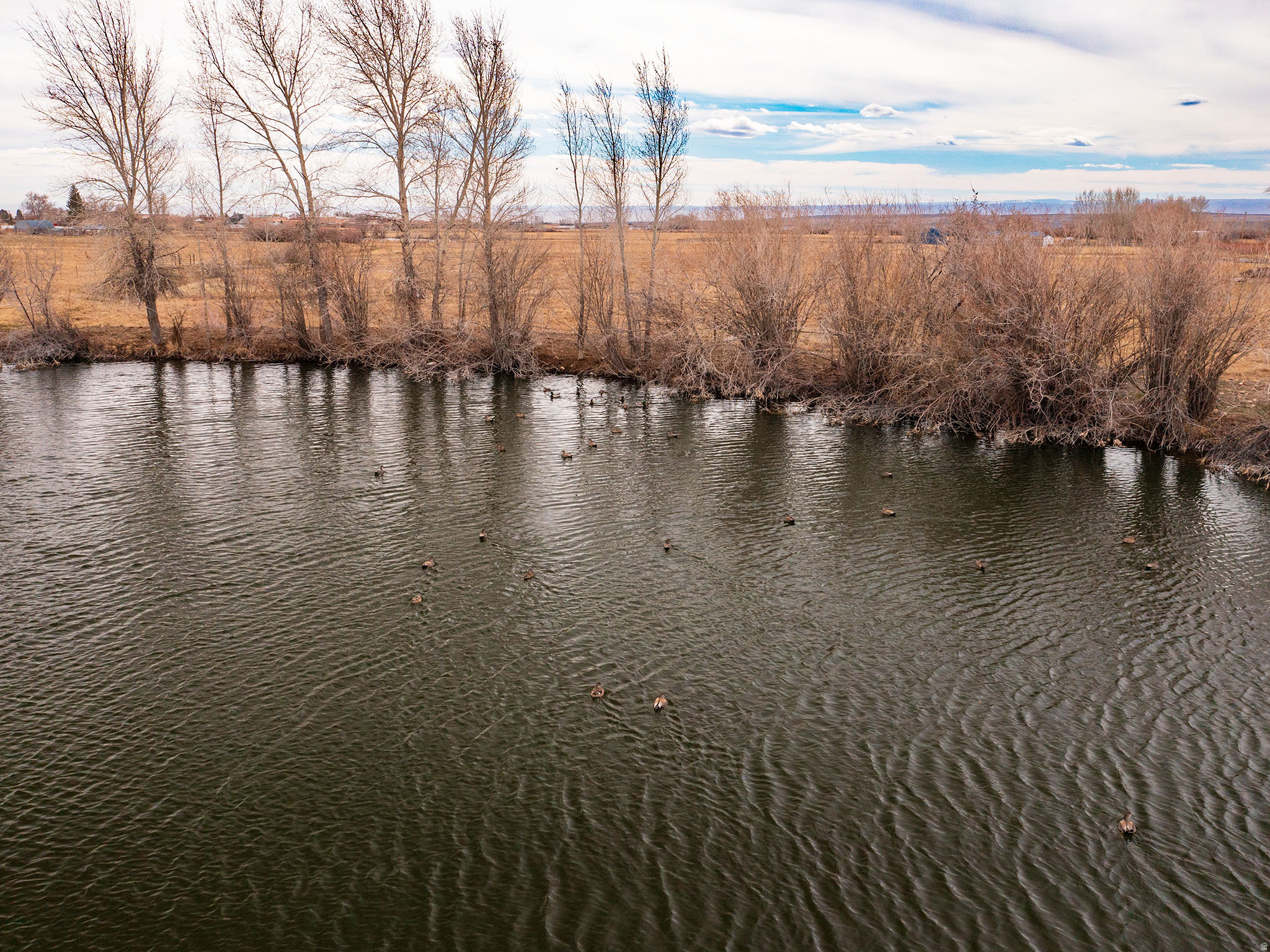 THYRENA SUE BURDICK TRUSTEE - Land