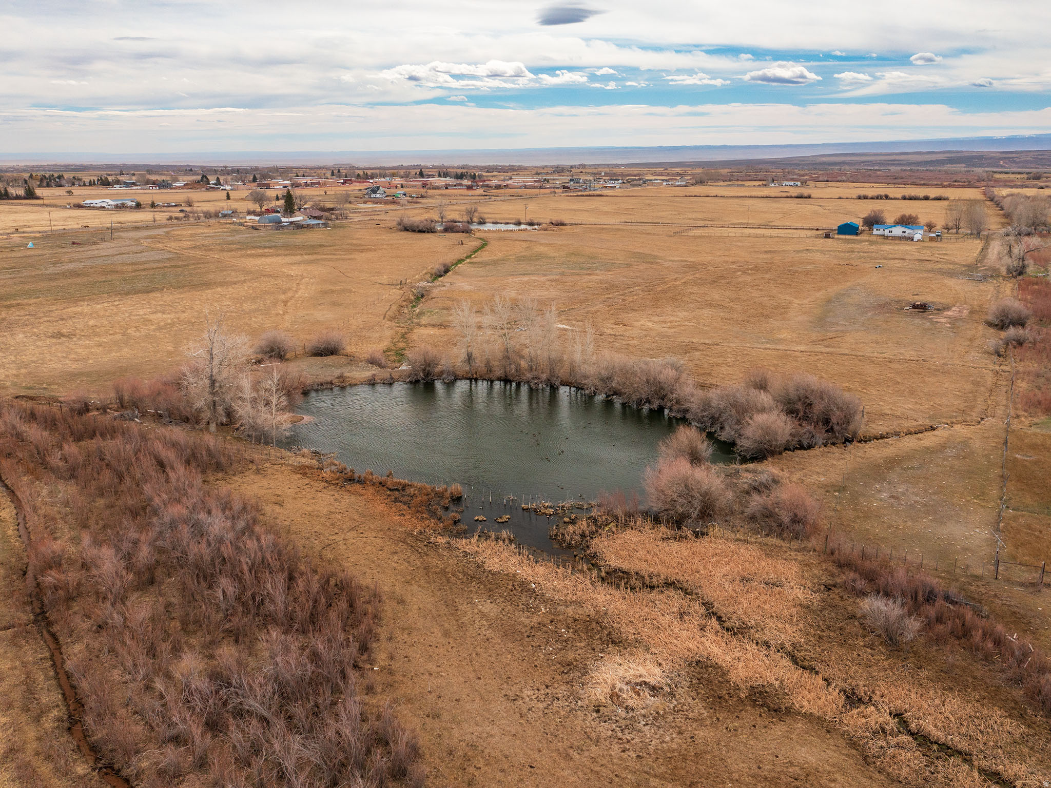 THYRENA SUE BURDICK TRUSTEE - Land