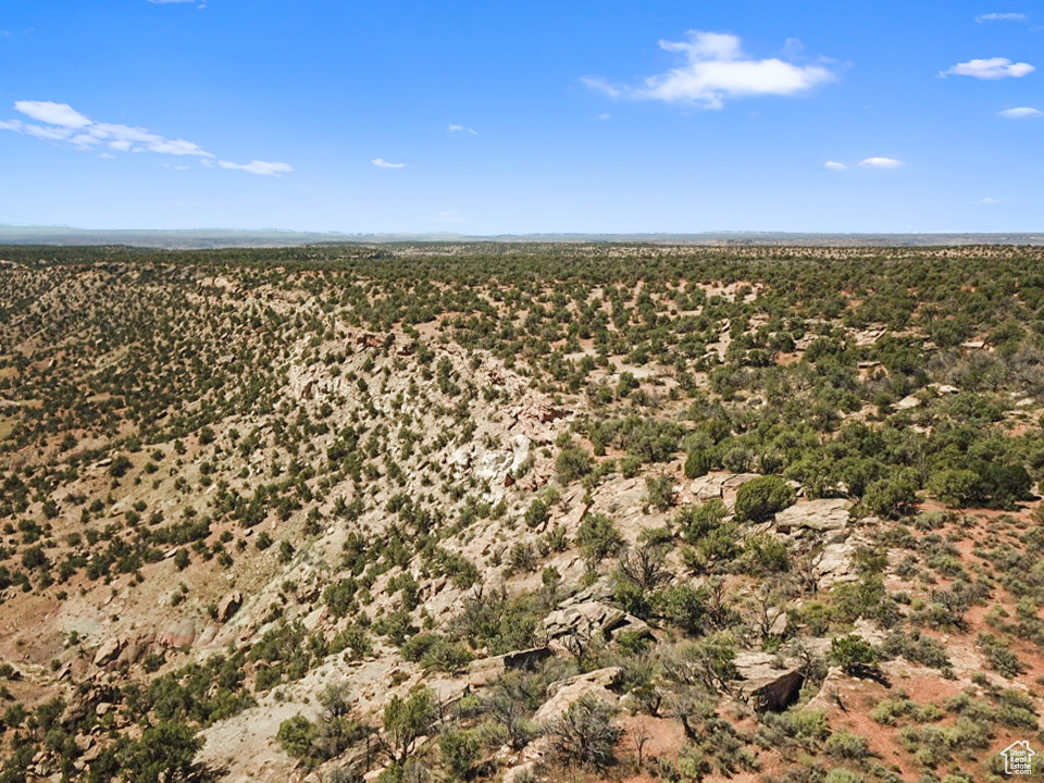 379 S Bug Point Spur, Monticello, Utah image 36