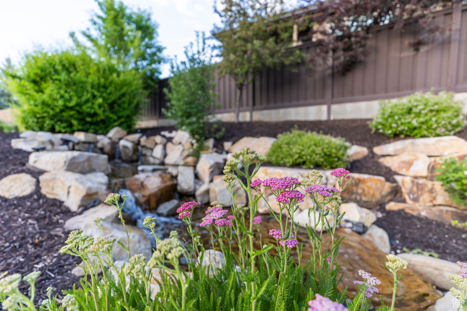 COVE ESTATES - Residential