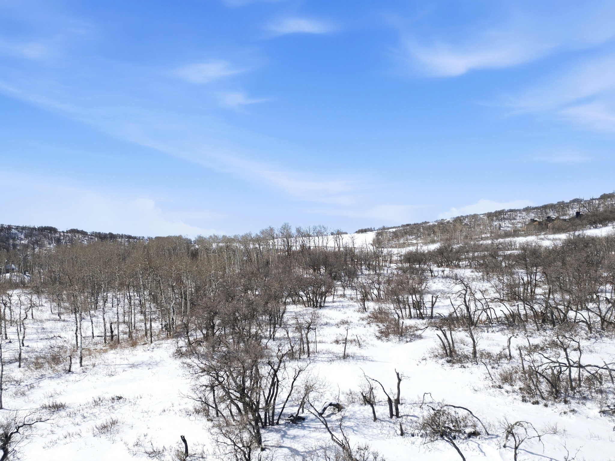 PRESERVE PHASE 3 SUBDIVISION - Land