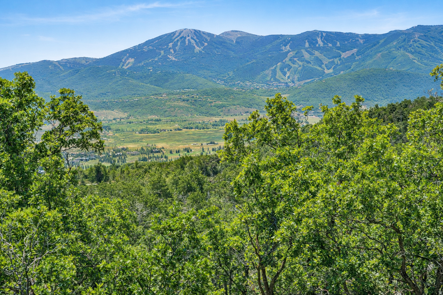 PRESERVE PHASE 3 SUBDIVISION - Land