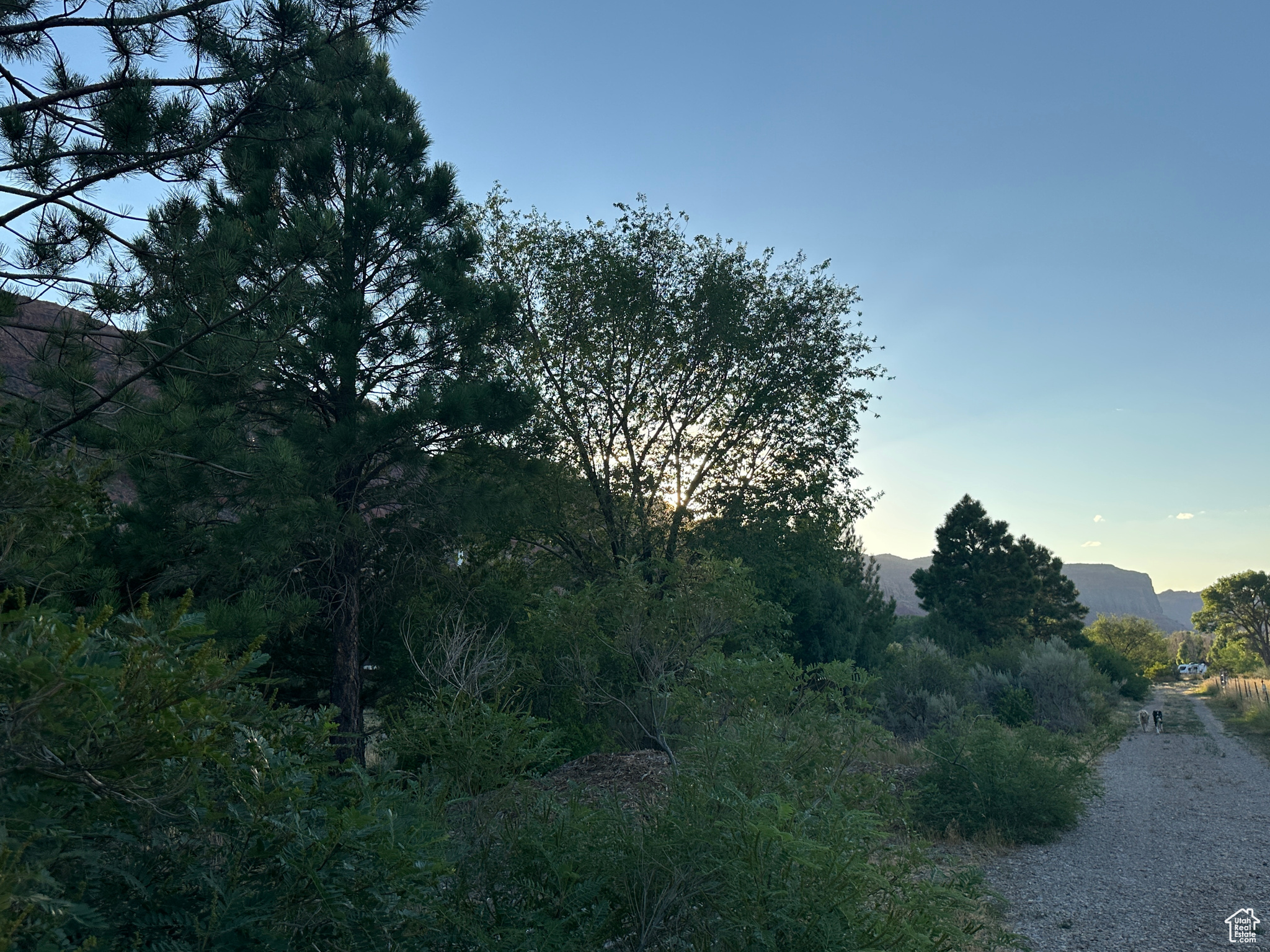 CASTLE VALLEY RIVER RANCHOS - Land