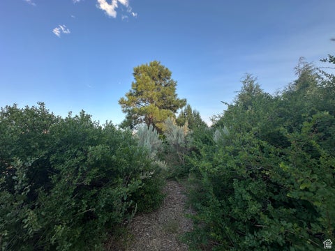 Tiny photo for 9 CHAMISA LN, Castle Valley, UT 84532 (MLS # 2099350)