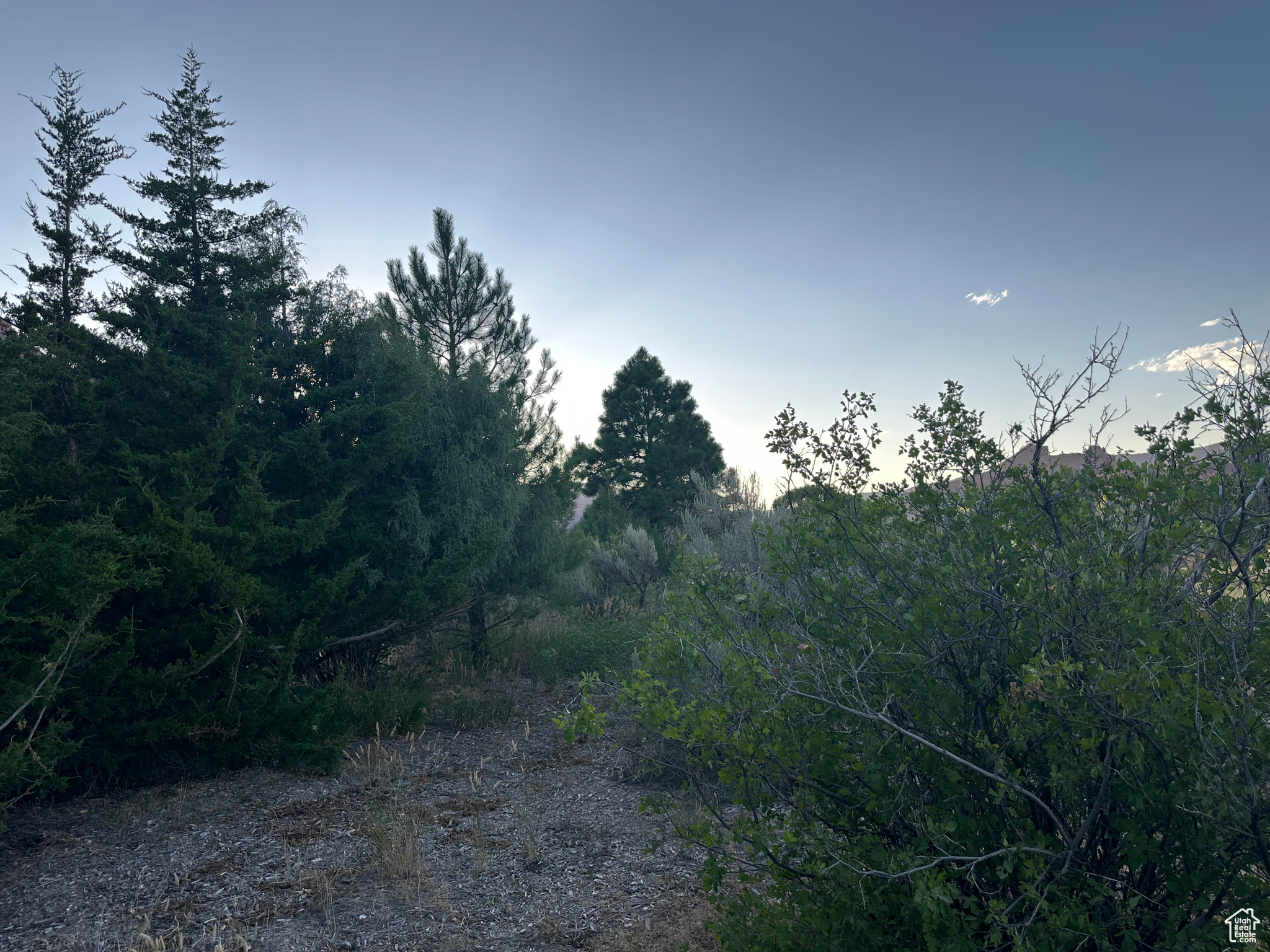 CASTLE VALLEY RIVER RANCHOS - Land