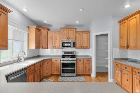 Tiny photo for 1501 W ELK CIR, Mapleton, UT 84664 (MLS # 2116263)