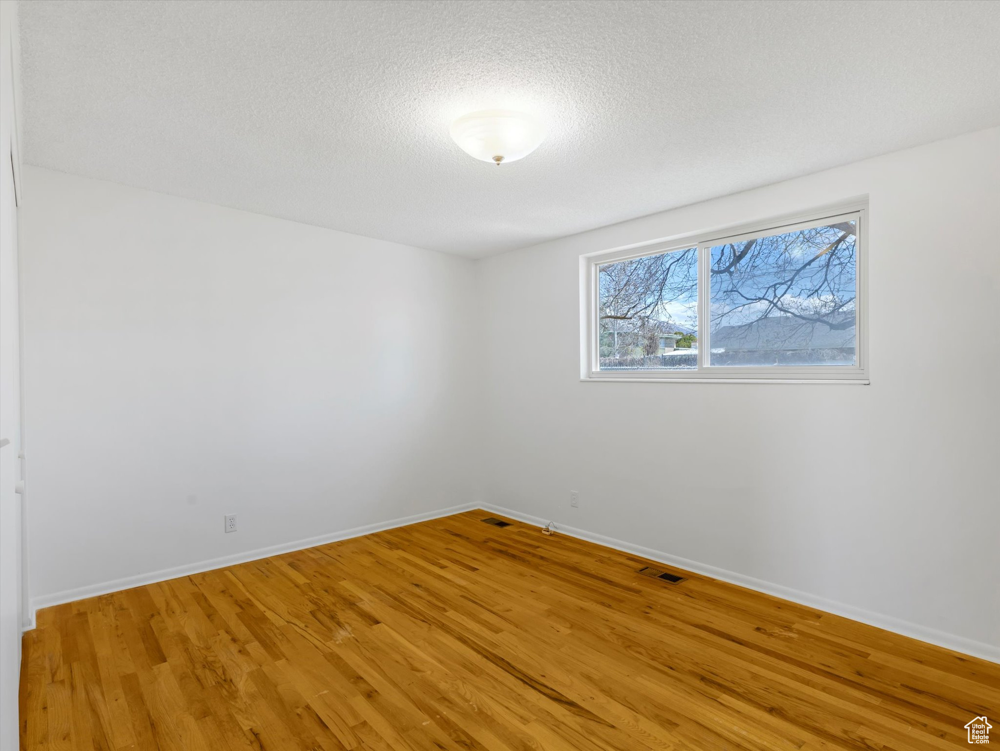 828 E Hibiscus Ave, Sandy, Utah image 5