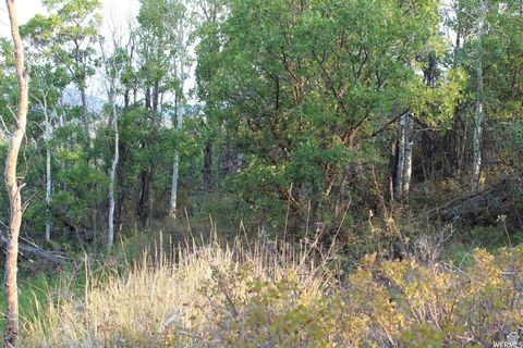 Tiny photo for 1421 S BEAVER BENCH E #1421, Heber City, UT 84032 (MLS # 2096165)