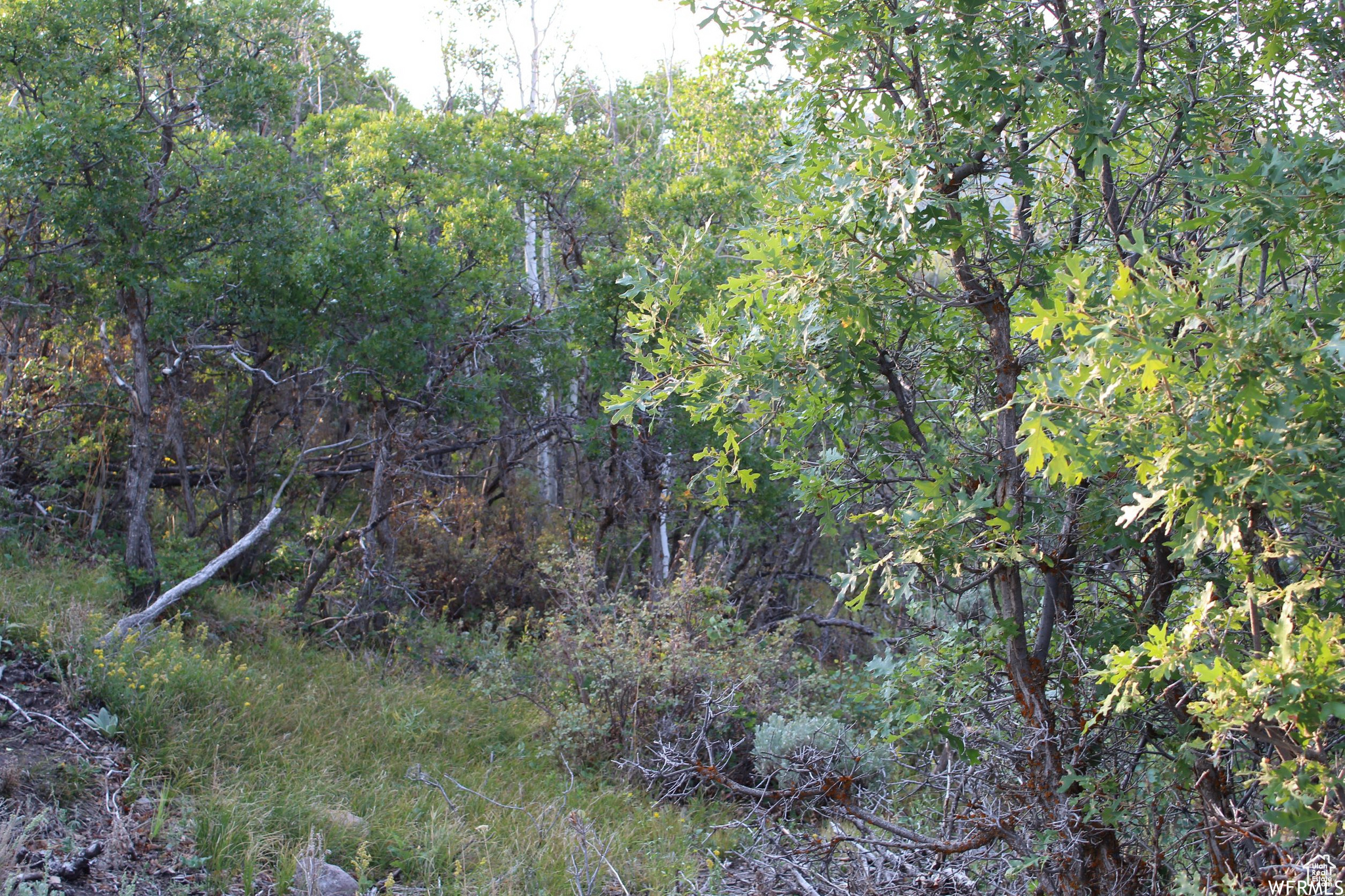 TIMBER LAKES - Land