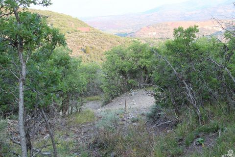 Tiny photo for 1421 S BEAVER BENCH E #1421, Heber City, UT 84032 (MLS # 2096165)