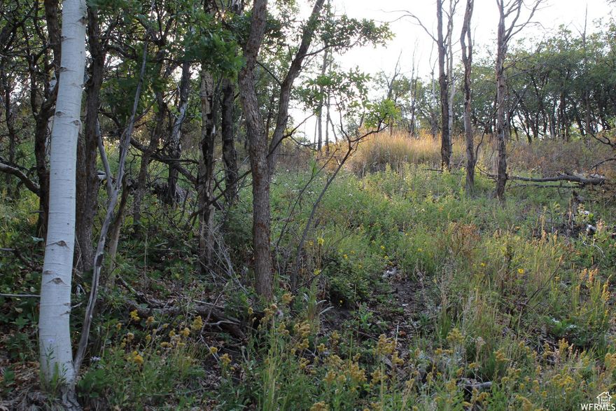 Opportunity to build your dream cabin or full time residence in Timber Lakes, near Heber City, Utah!  Close to streams, lakes, rivers, mountains, with endless year round recreational opportunities. Enjoy the serenity and quiet with wildlife and views from your front deck.  House plans for this lot are available, as well as an engineered septic system.  Perc test passed in 2019.  Great potential awaits you in Timber Lakes.  Just minutes to Park City, and less than an hour to  Salt Lake International Airport.