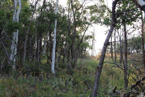 Tiny photo for 1421 S BEAVER BENCH E #1421, Heber City, UT 84032 (MLS # 2096165)