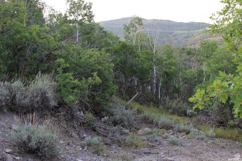 Tiny photo for 1421 S BEAVER BENCH E #1421, Heber City, UT 84032 (MLS # 2096165)