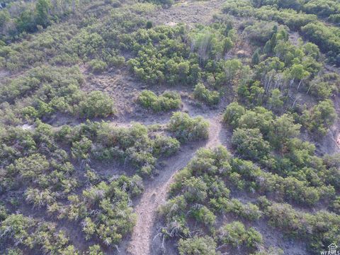 Tiny photo for 1421 S BEAVER BENCH E #1421, Heber City, UT 84032 (MLS # 2096165)