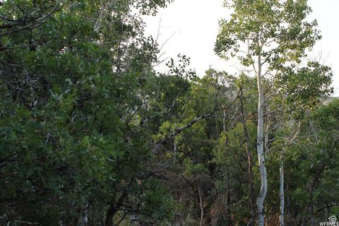 Tiny photo for 1421 S BEAVER BENCH E #1421, Heber City, UT 84032 (MLS # 2096165)