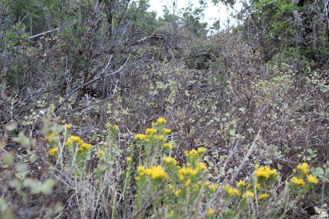 Tiny photo for 1421 S BEAVER BENCH E #1421, Heber City, UT 84032 (MLS # 2096165)