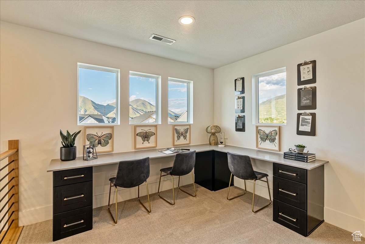 2458 W Aurora Ave #287, Mapleton, Utah image 39