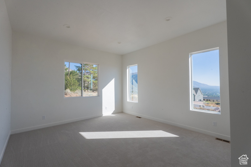 VIEWS AT ROCKWOOD - Residential