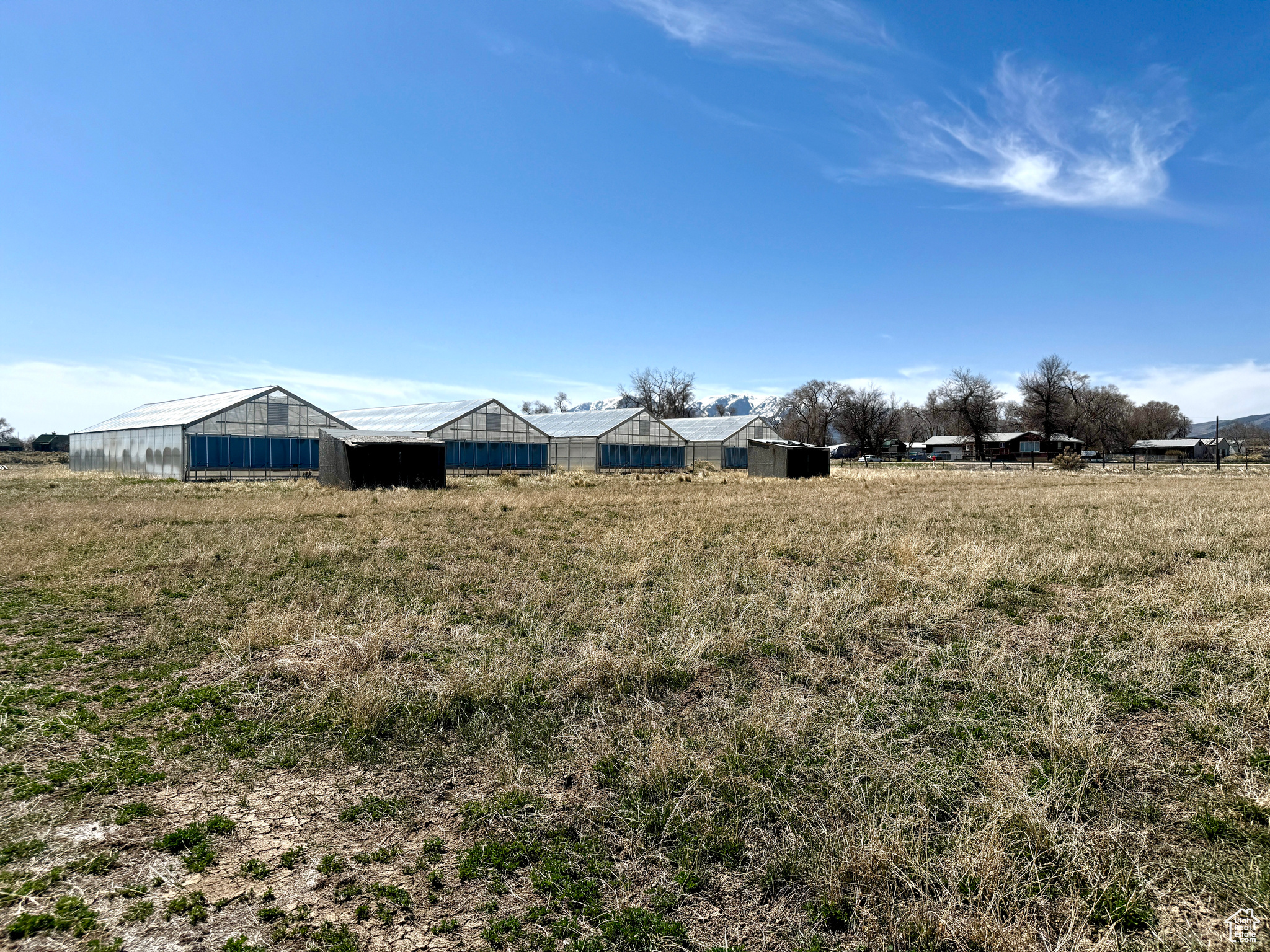 50 E Pine St, Rush Valley, Utah image 11