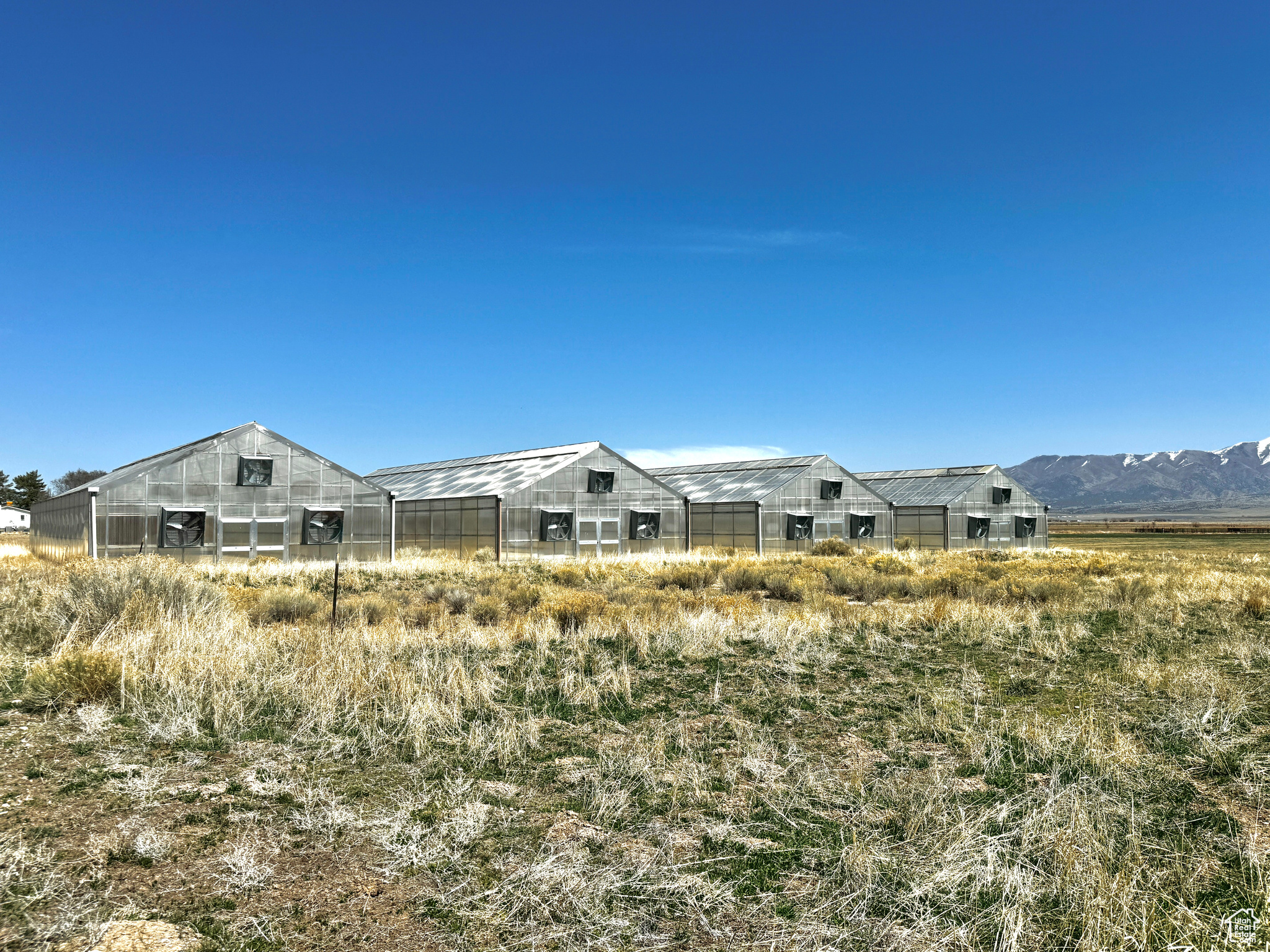 50 E Pine St, Rush Valley, Utah image 18