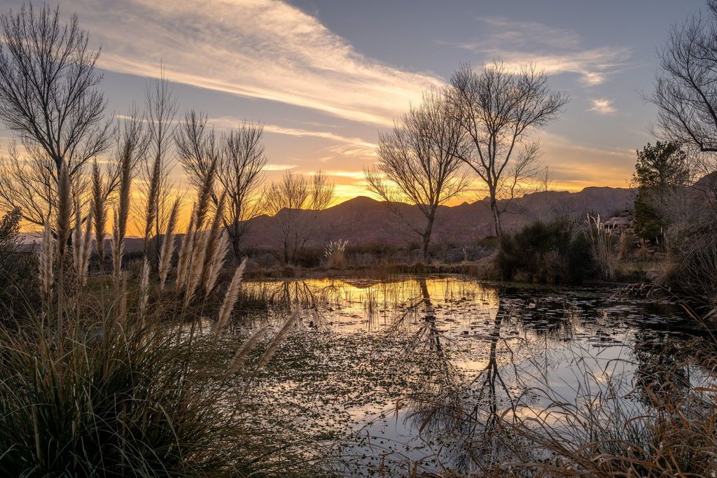 Photo of 779 S SILVER RD, Leeds, UT 84746 (MLS # 2136582)