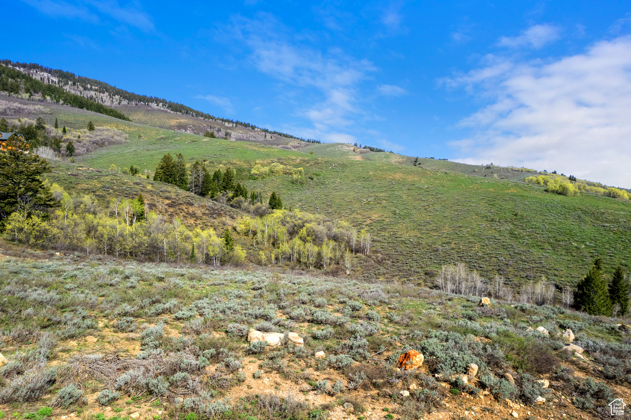 556 Cold Springs Dr #380, Fish Haven, Idaho image 4