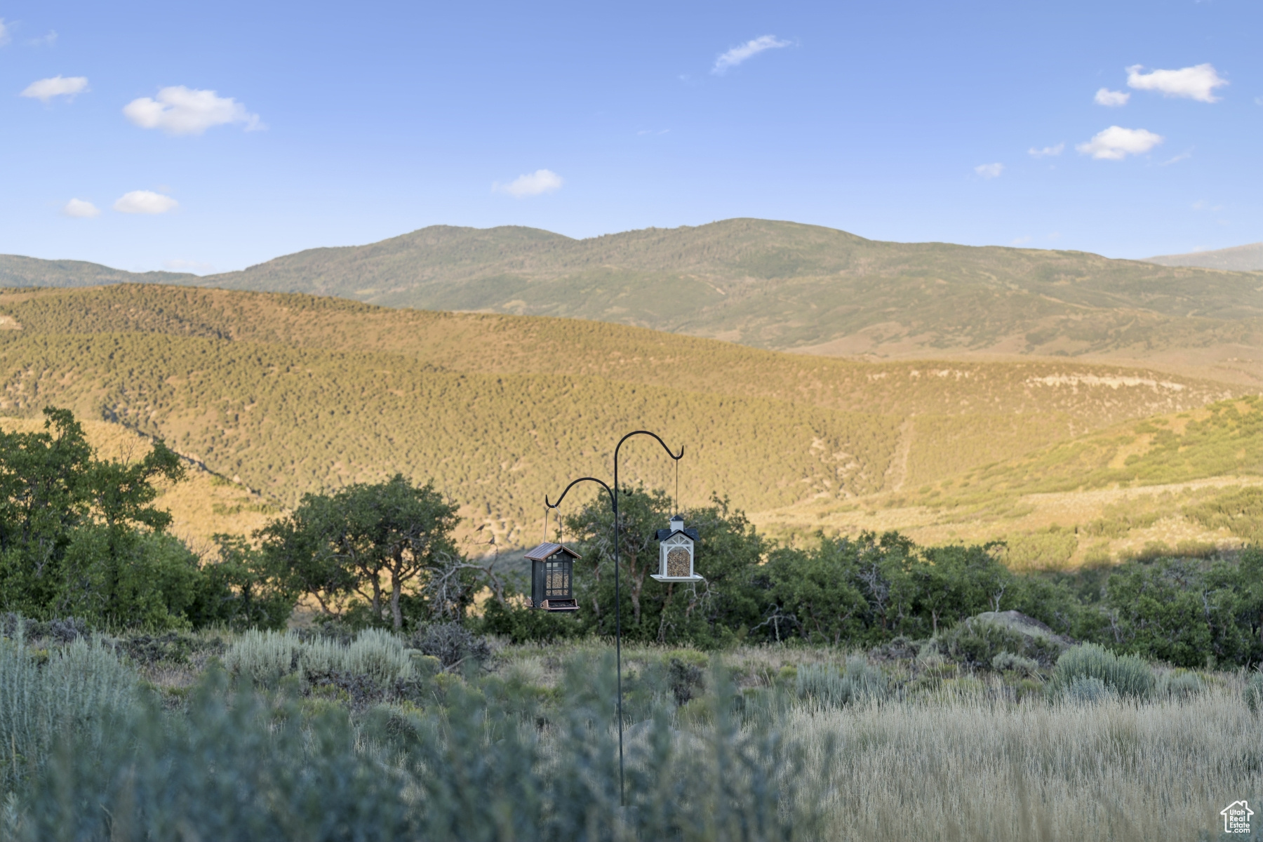 BRIDGE HOLLOW - Residential