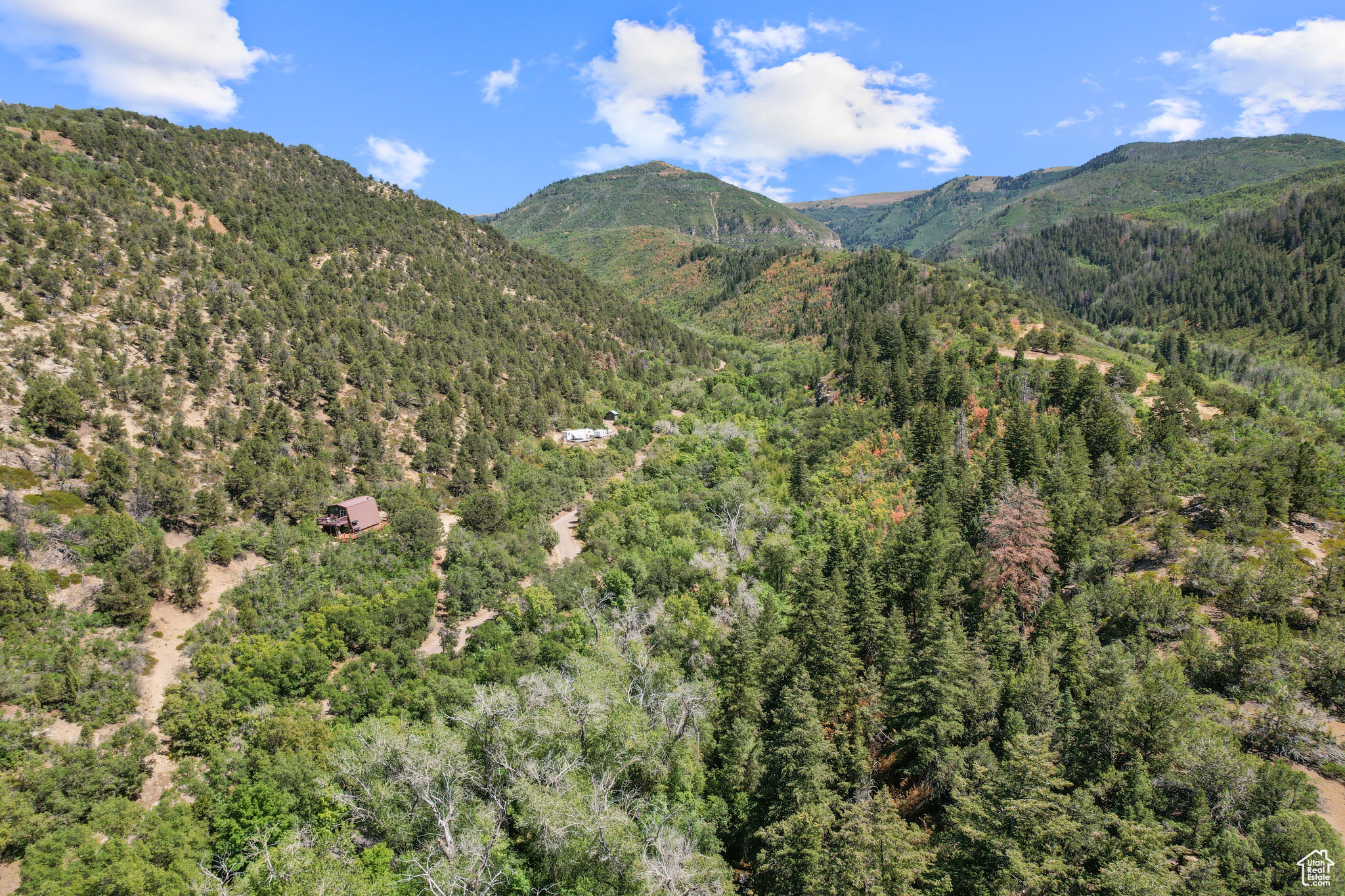 SKYLINE MTN RESORT - Land
