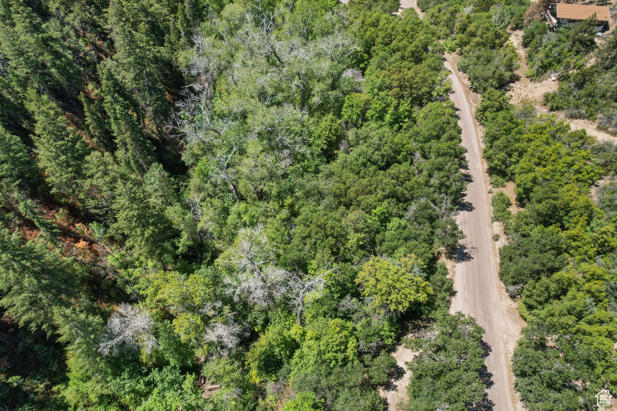 SKYLINE MTN RESORT - Land