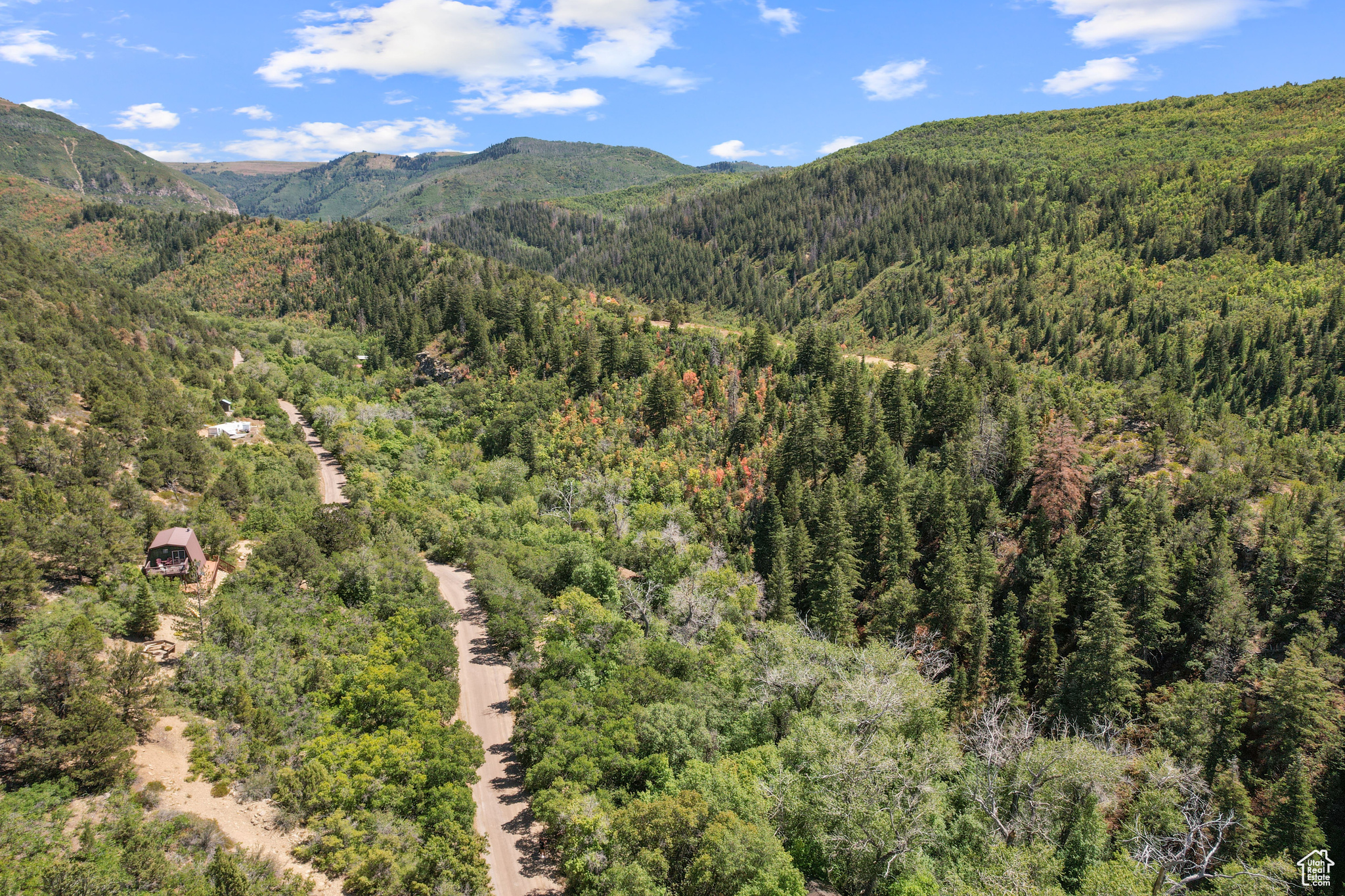 SKYLINE MTN RESORT - Land