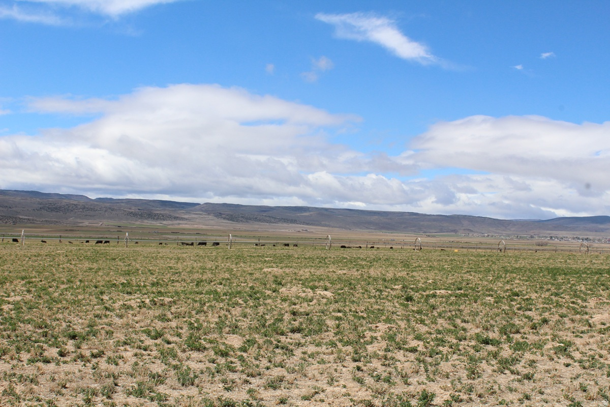 TORGERSON MINOR SUBDIVISION - Land