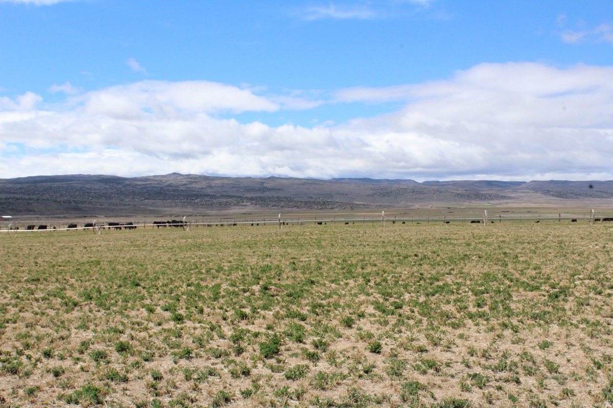 TORGERSON MINOR SUBDIVISION - Land