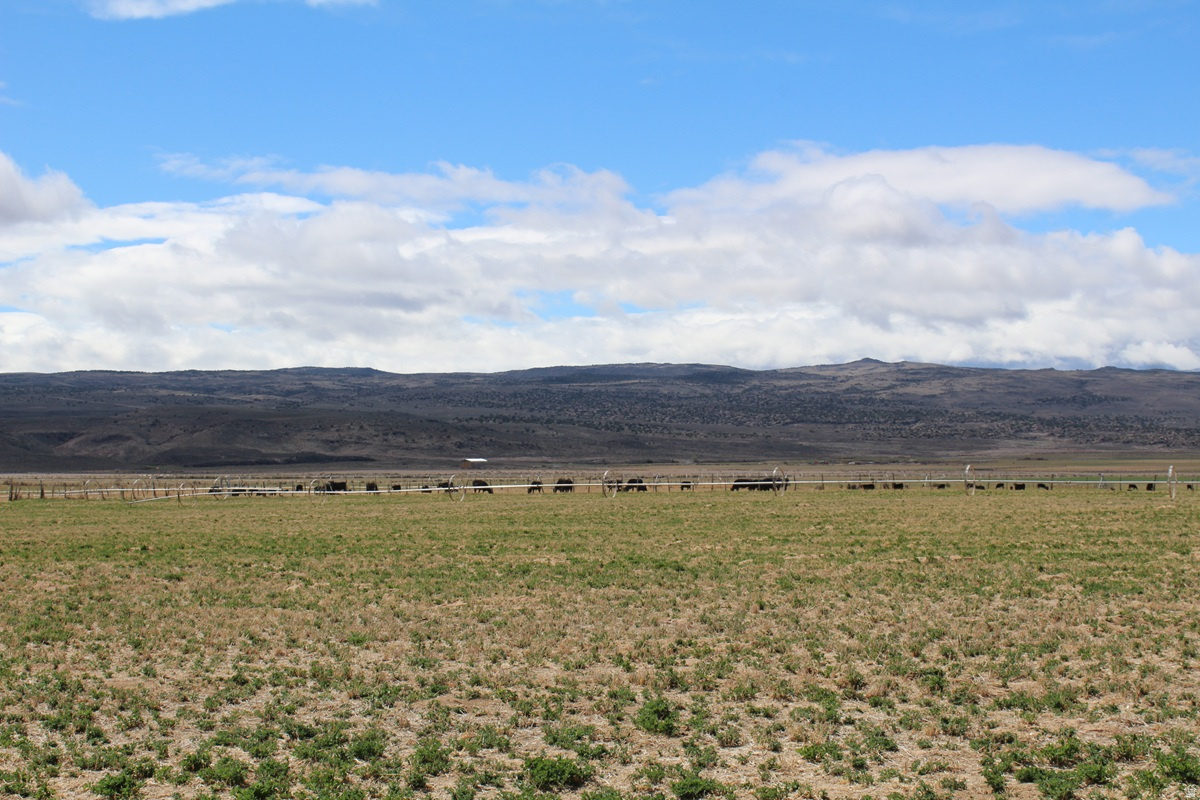 TORGERSON MINOR SUBDIVISION - Land