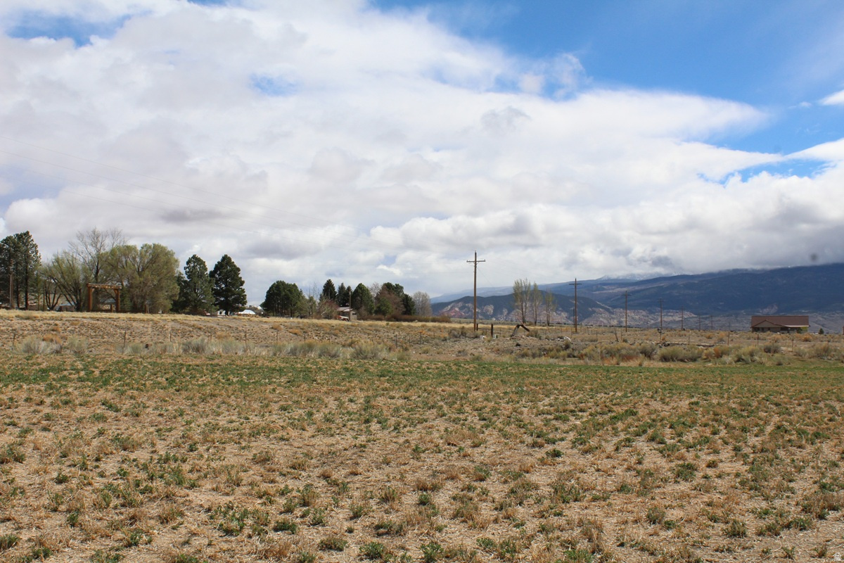 TORGERSON MINOR SUBDIVISION - Land