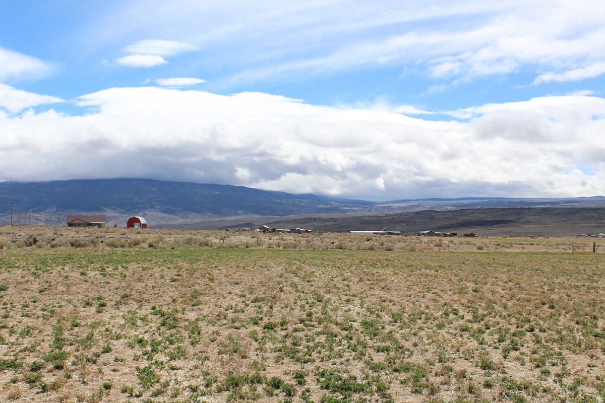 TORGERSON MINOR SUBDIVISION - Land