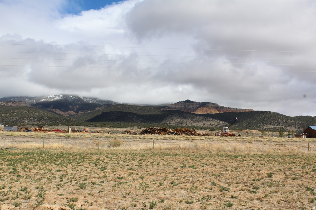 TORGERSON MINOR SUBDIVISION - Land