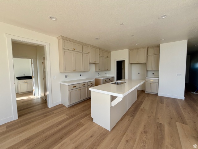 FREMOMT MEADOWS - Residential