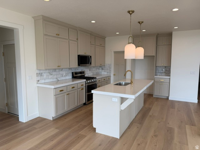 FREMOMT MEADOWS - Residential